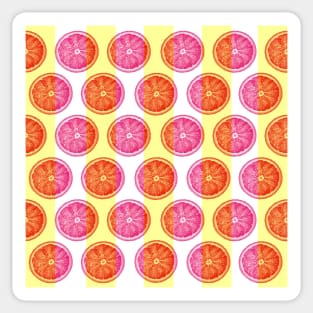 Citrus Slice and Stripes Sticker